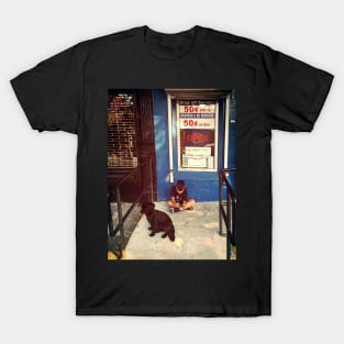 A boy and his dog, Sunset Park, Brooklyn, NYC T-Shirt